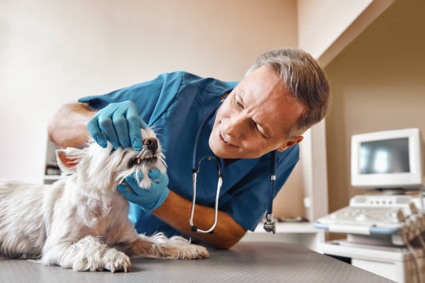 Best Emergency Care for Gum Disease in Morrow, GA